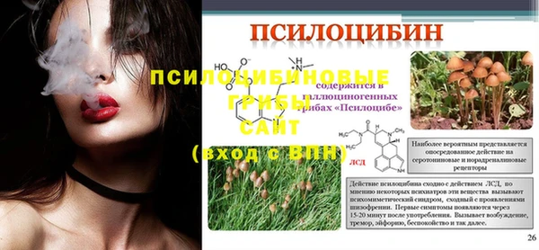 бошки Алексин
